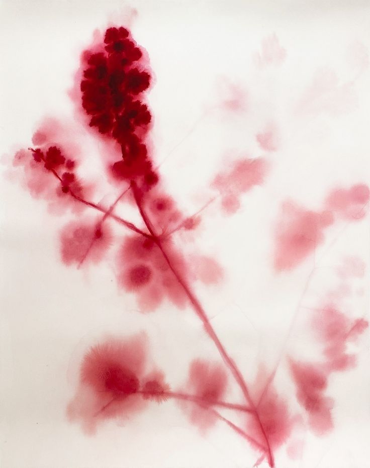 Aquarelle rouge, ateliers créatifs du club